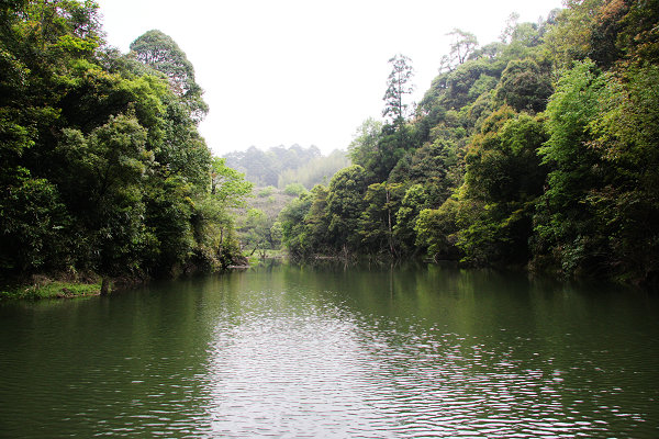 森林氧吧连城冯地村