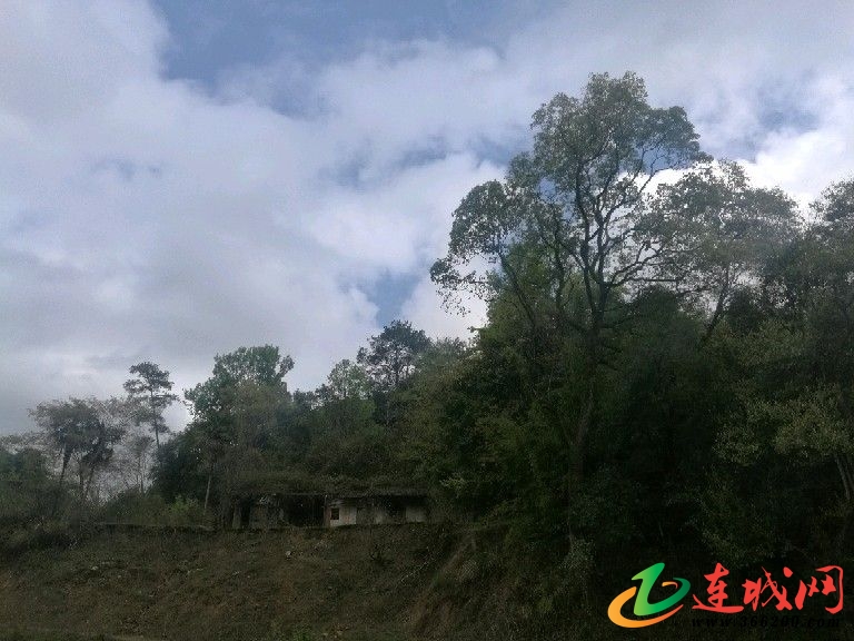 连城人口有多少_夏朝有多少人口(3)
