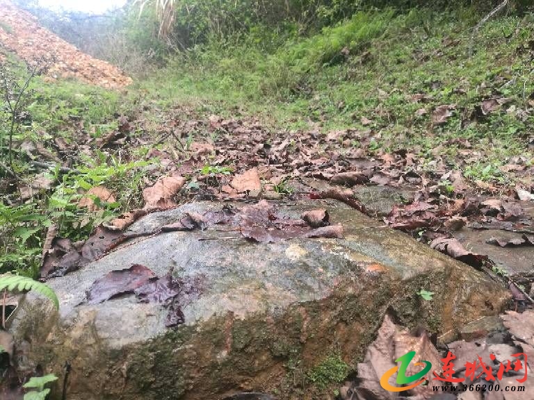 连城人口有多少_夏朝有多少人口(2)